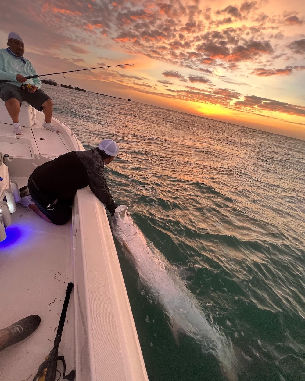 Tarpon Charter Fishing Pine Island, Florida